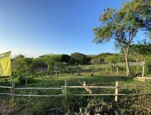 200 sqm Residential Farm For Sale in Jalajala Rizal