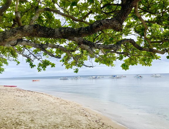 Residential Beach Lot For Sale in Calatagan Batangas