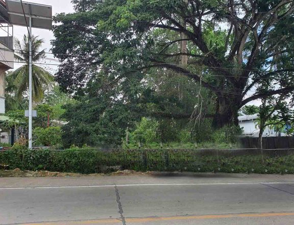 1,750 sqm Commercial lot For Sale.