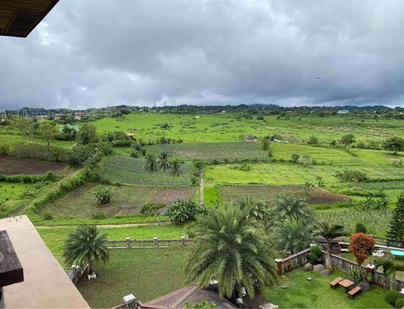 Farm lot for sale inside the subdivision in Amedeo Cavite