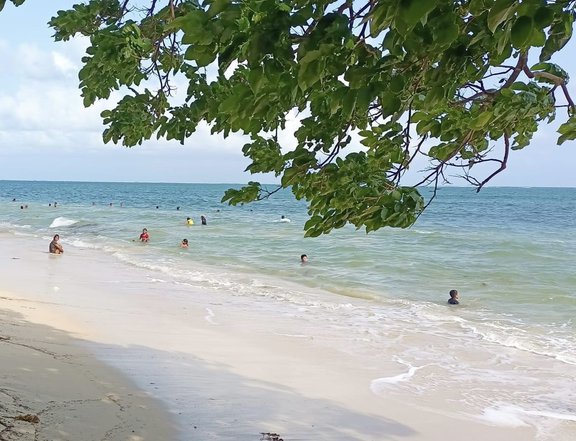 1.62 hectares White Sand Beach Property For Sale in Siruma Camarines Sur