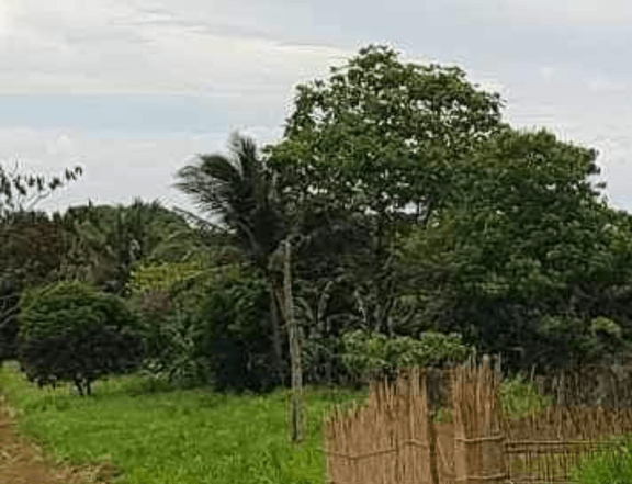 500sqm residential farm in orion bataan