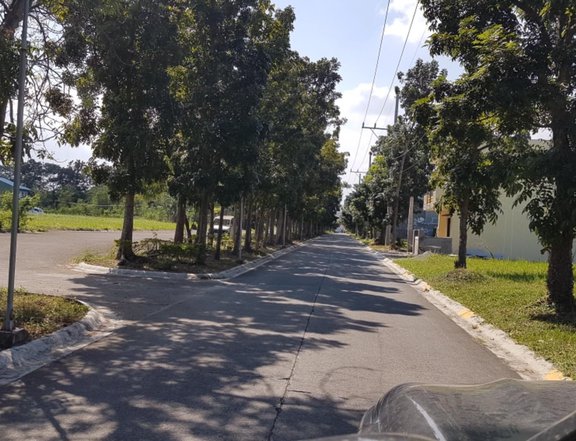 168 sqm Residential Lot For Sale in Binan Laguna near CALAX Nuvali