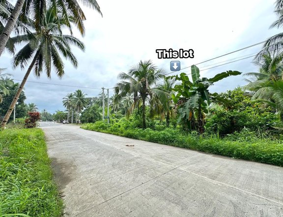 1,287 sqm Lot For Sale in Butuan Agusan Del Norte