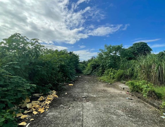 150 sqm Residential Lot For Sale in Butuan Agusan Del Norte