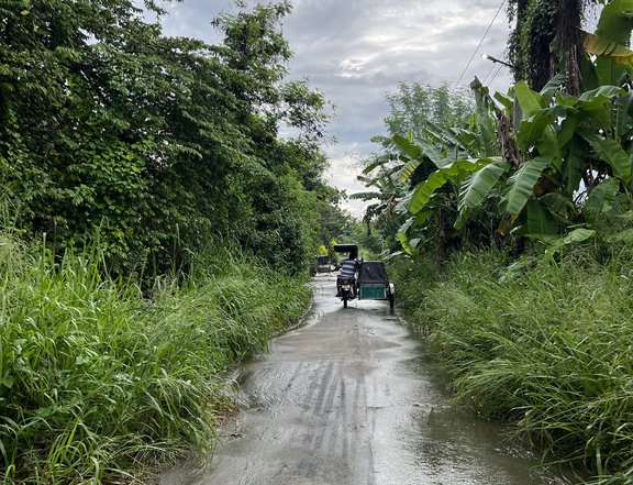 180 sqm Lot for Sale in Fatima Village Subdivision, Sta. Cruz, Porac