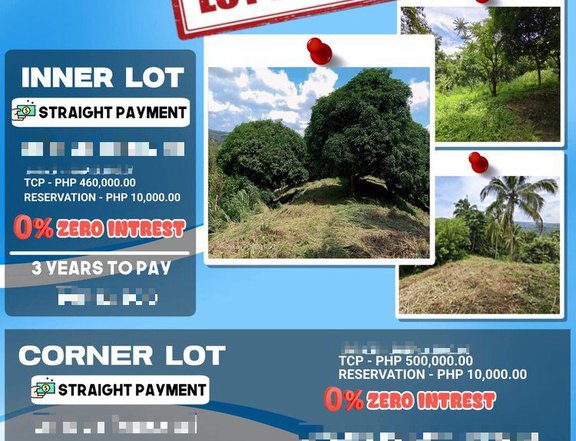 200 sqm Farm Lot For Sale in Tanay Rizal