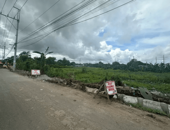 9,000 sqm Farm Lot For Sale in Dasmarinas Cavite