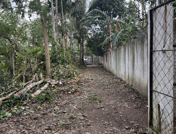 Clean Title May right of way / Meralco/ water source : deepwell/ With coconut trees and 2 lanzones