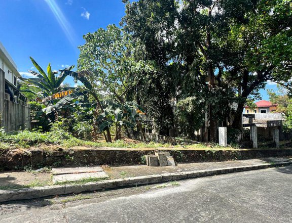 300 sqm Residential Lot for sale in Palos Verdes Executive Antipolo