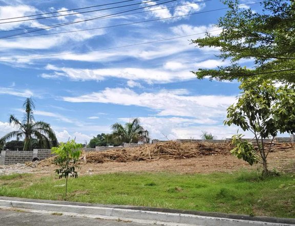 Residential Lot For Sale in Valle Verde Davao City