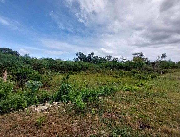 Affordable Lot for Sale Panglao Island for Commercial/Residential