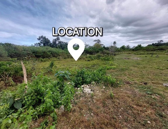 Affordable Lot for Sale Panglao Island for Commercial/Residential