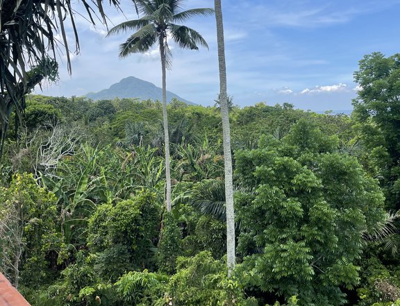 Exclusive Residential Lot For Sale in Rockwell Lauan Ridges, Mataasnakahoy Batangas