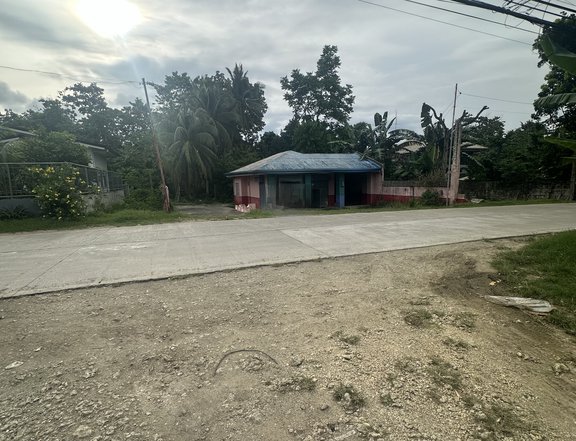Office (Commercial) For Sale in Tagbilaran Bohol