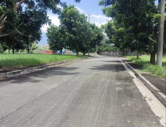 120 sqm Residential Lot For Sale in Calamba Laguna