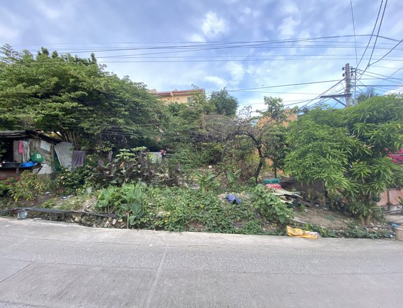 ARE YOU LOOKING FOR A RESIDENTIAL LOT  IN LAWAAN TALISAY CEBU?