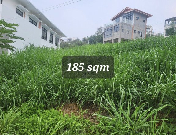 185 sqm Residential Lot For Sale in Antipolo Rizal