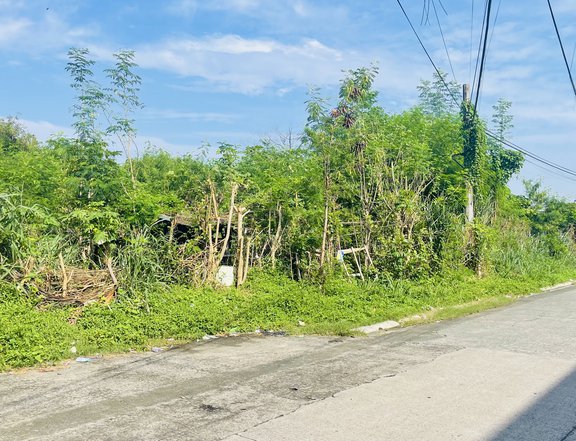 1,710 sqm Industrial Lot For Rent in Las Pinas Metro Manila