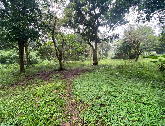 14,400 sqm Agricultural Farm For Sale in Indang Cavite