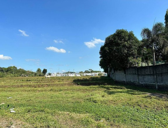 1.16 hectares Raw Land For Sale in Santa Maria Bulacan