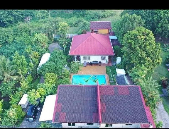 With Swimmimg pool house and lot for sale in dumaguete