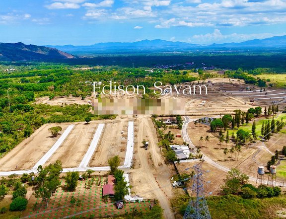 Prime Lot For Sale in South Palmgrove Lipa Batangas