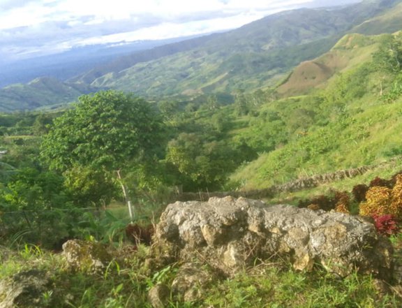 Overlooking Farm Lot For Sale in Marilog Davao City