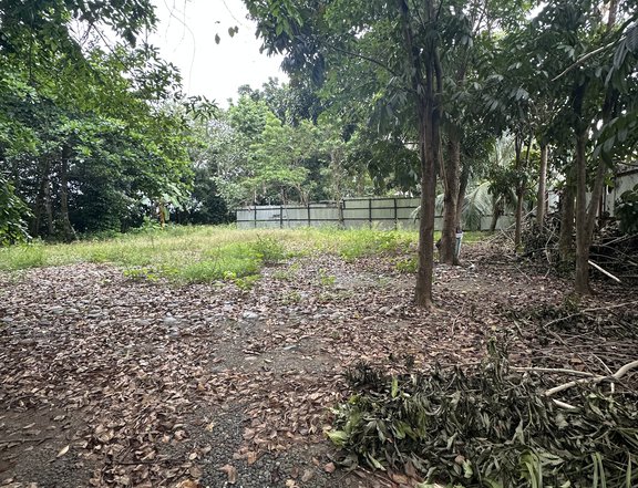 Commercial Lot For Sale in Catalunan Pequeno Davao City