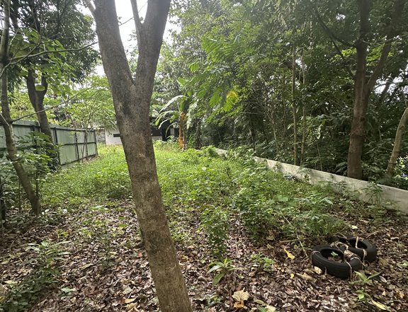 Overlooking Lot For Sale in Catalunan Pequeno Davao City