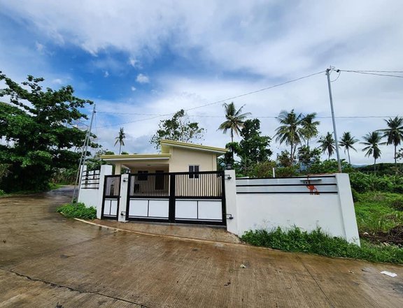 3 bedroom newly built house and lot for sale in valencia, negros oriental. Ready for occupancy.