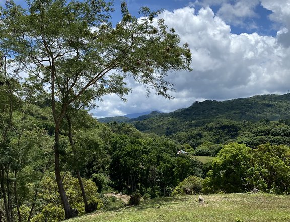 FARM LOT FOR SALE - TANAY, RIZAL