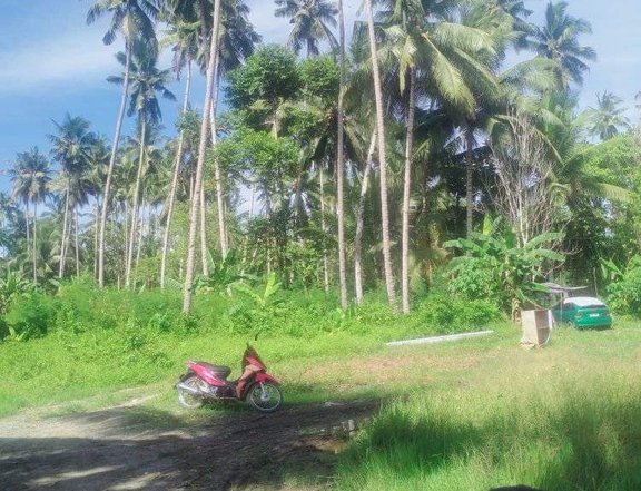 3000 sqm Raw Land For Sale in Tagum City Davao Del Norte