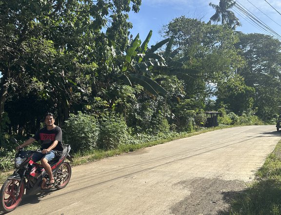 3.95 hectares Agro-Industrial Farm For Sale in Davao City