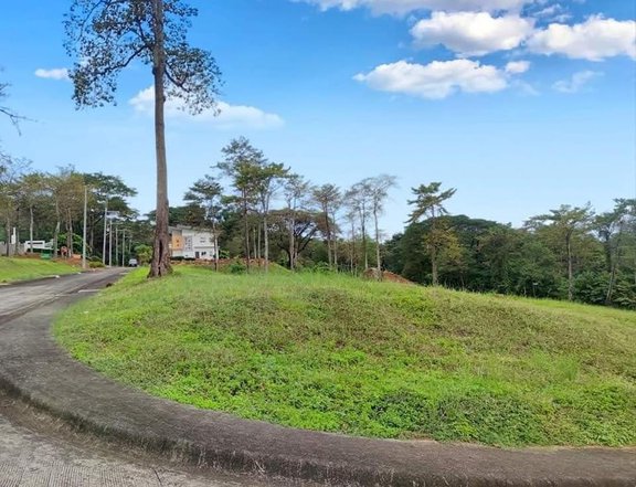 HIGH END RESIDENTIAL LOT FOR SALE WITH VIEW IN ANGONO, RIZAL