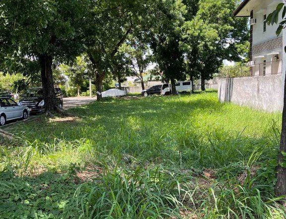 251 sqm Residential Lot For Sale in Bacoor Cavite