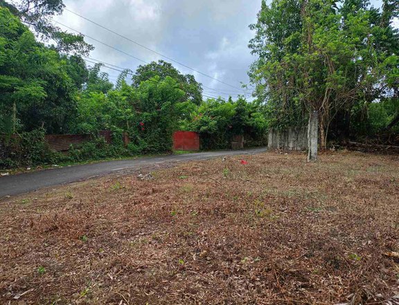 150 sqm Subdivision Residential Lot for Sale in Lipa Batangas