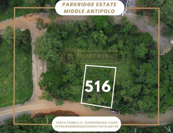 Lot for Sale| Overlooking View at Parkridge Antipolo