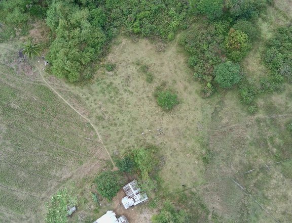 1,000 sqm Farm Lot For Sale in Bani Pangasinan