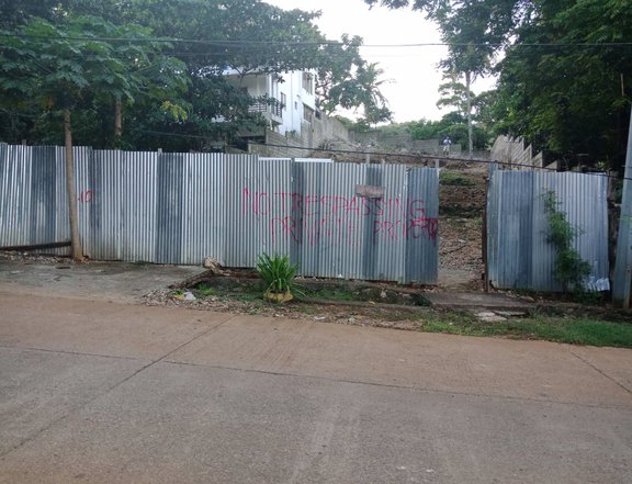 Titled Vacant lot in Boracay for sale