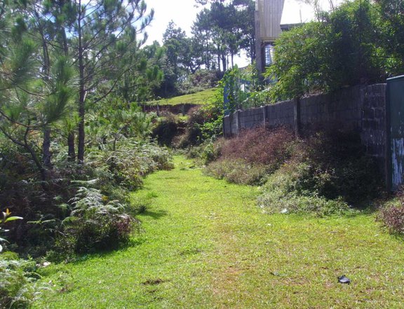 2.5 hectares Raw Land For Sale in Baguio Benguet