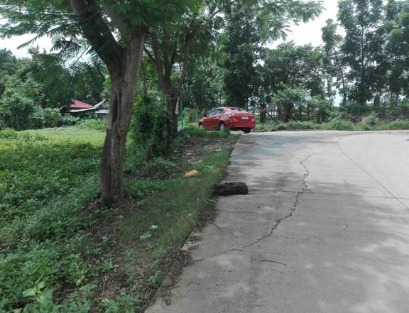1 hectare lot in Bulacan For Sale!