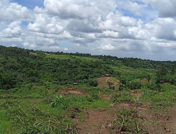 Lot for Sale near in Tagaytay City