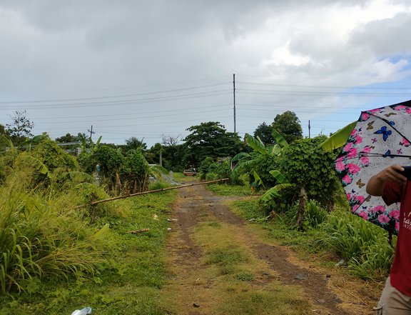 Residential Lot in Malaya Pililla Rizal