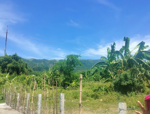 Residential Lot in Brgy Niogan