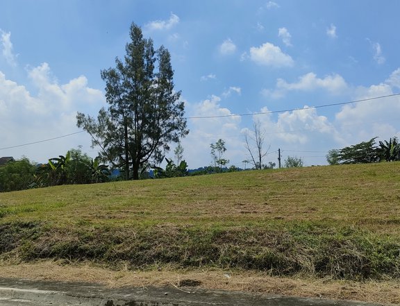 residential lot in Parkehills Subd Antipolo City