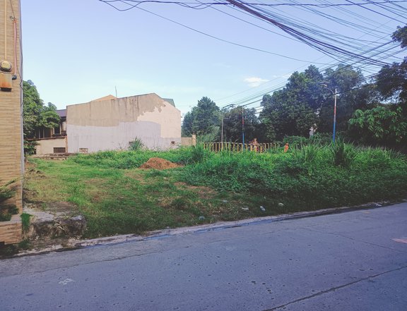 168-SQM Lot for Sale inside Subdivision in Antipolo, Rizal