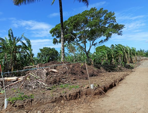 Private farm lot located at Brgy. Pajo ,Alfonso, Cavite