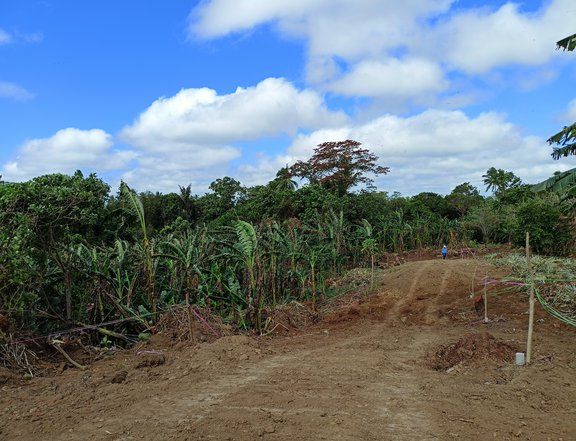 Residential farm in Alfonso ..Good for retirement/vacation  house