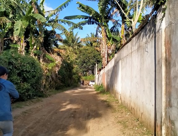 A pre Selling Resident FarmLot for Sale Located at Pajo Alfonso Cavite